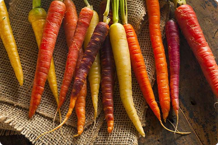 Les carottes, les légumes de février
