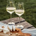 Tout savoir sur le vin