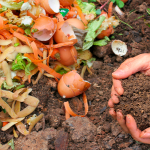 Comment réussir son compost ?