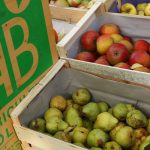 Pourquoi manger bio ?